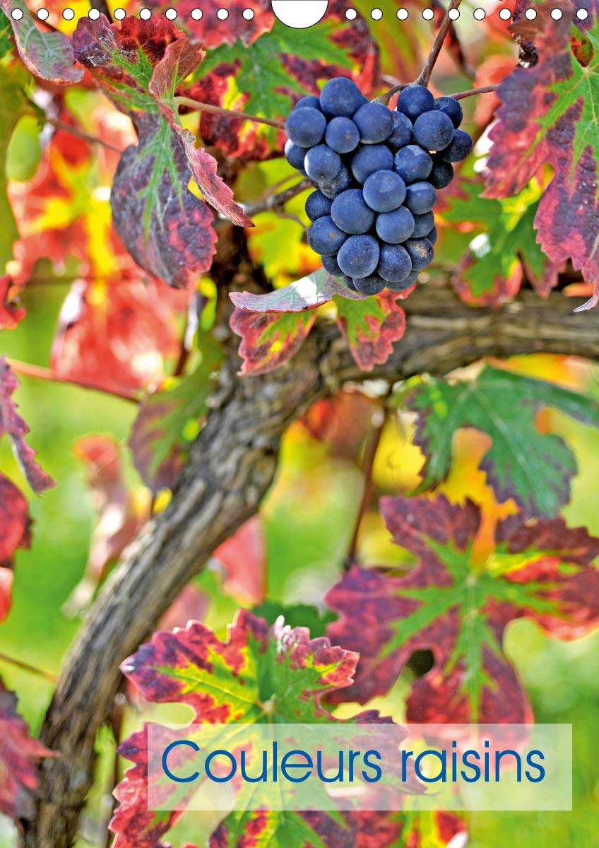 Couleurs raisins 2020: Grappes de raisins