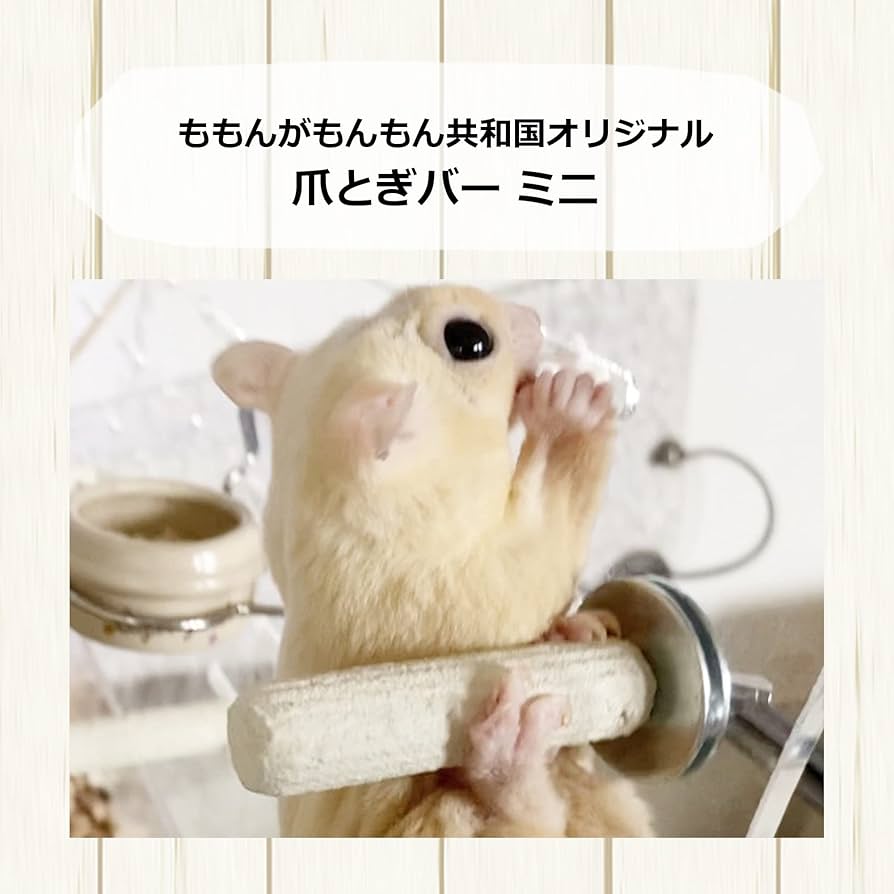 Amazon | ももんがもんもん共和国 フクロモモンガの爪とぎバー