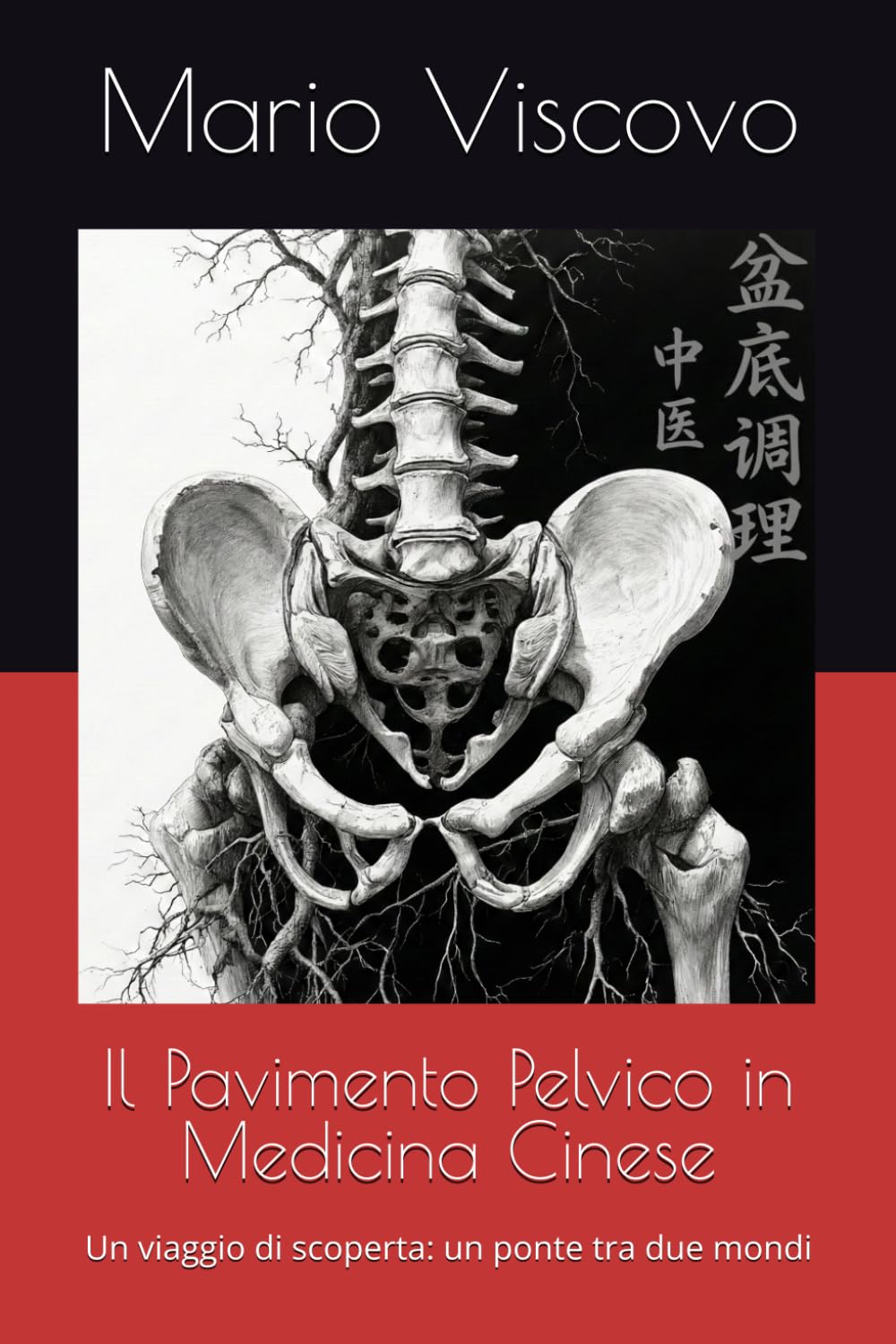 Il Pavimento Pelvico in Medicina Cinese: Un viaggio di scoperta: un ponte tra due mondi