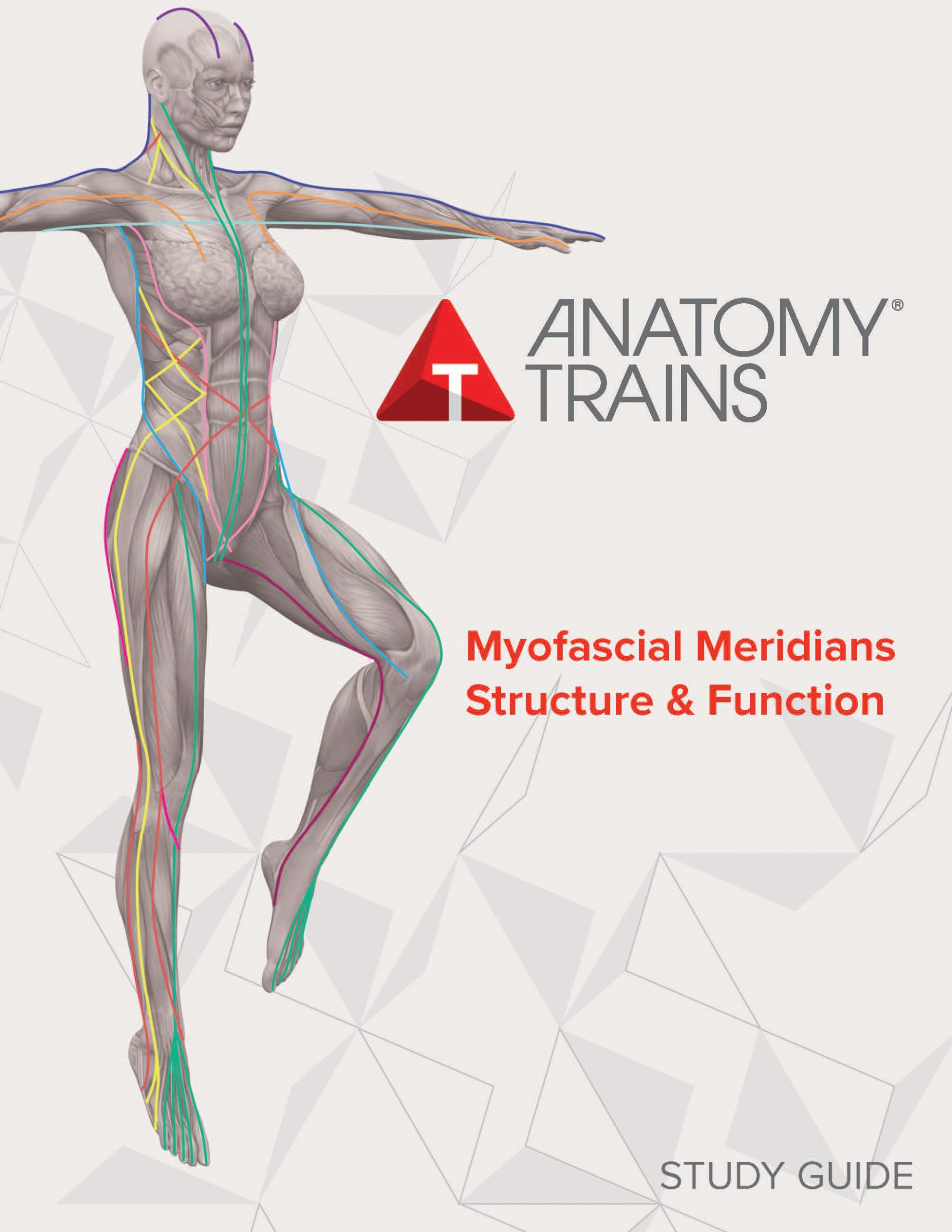 ＤＶＤ トム・マイヤーズ　Anatomy Trains セミナー2011 6巻 DVD トム・マイヤーズ Anatomy Trains セミナー2011 6巻