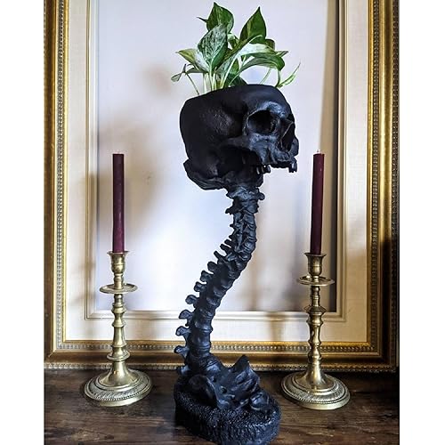 Skull Planter with Spine Stand Realistic Skull Planter Pot Gothic Home Decor Resin Skull Shape Flower Pot Candy Bowl Halloween Decorations Horror Skull Decor for Home Office Indoor Outdoor Decor - Black