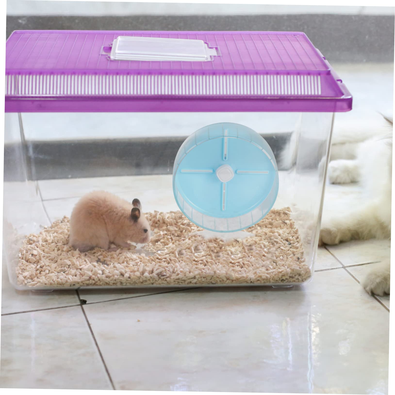Jouet Dexercice De 20 Cm avec Support Et Roue De Jogging Silencieuse pour Animaux De Compagnie Hamster Écureuil Souris