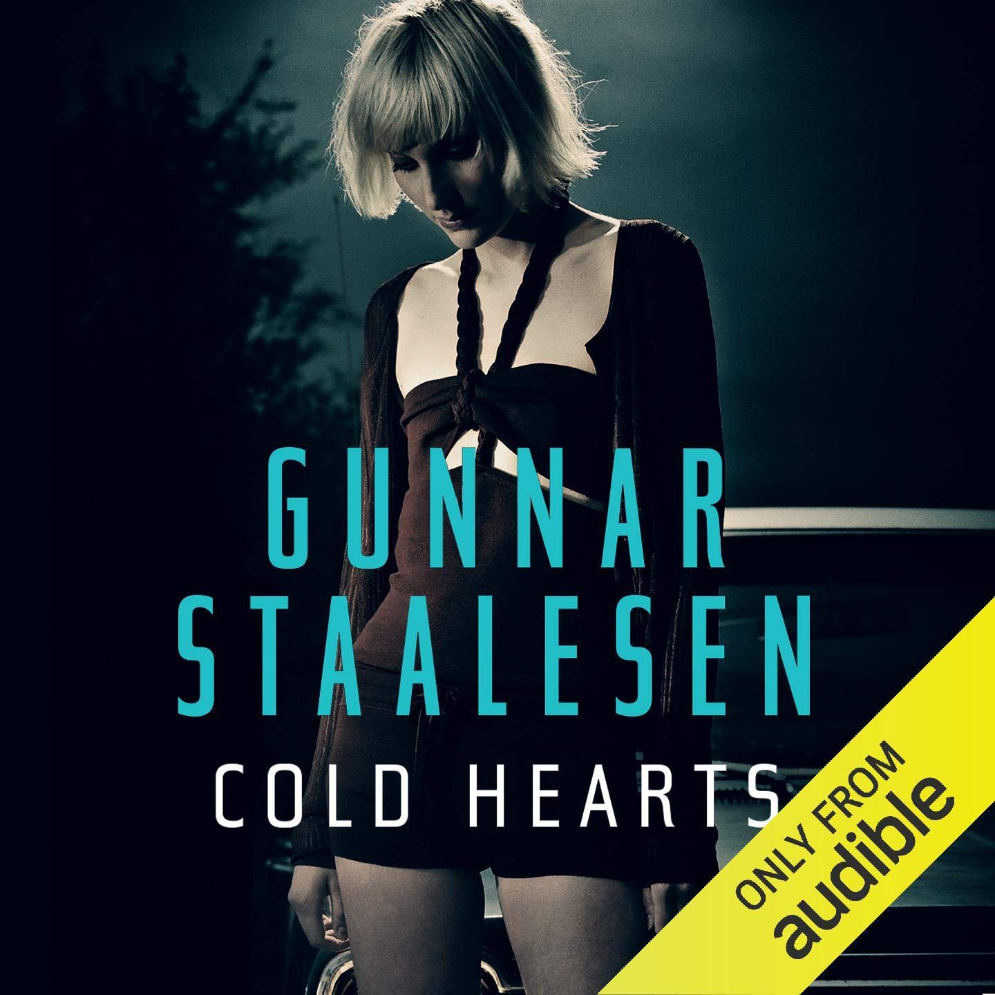 Cover art for Cold Hearts