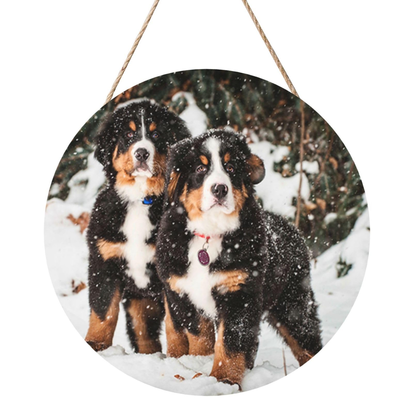 InOmak Funny Bernese Mountain Dog, Round Wood Panel Painting 12 in, Wall Hanging Painting For Home