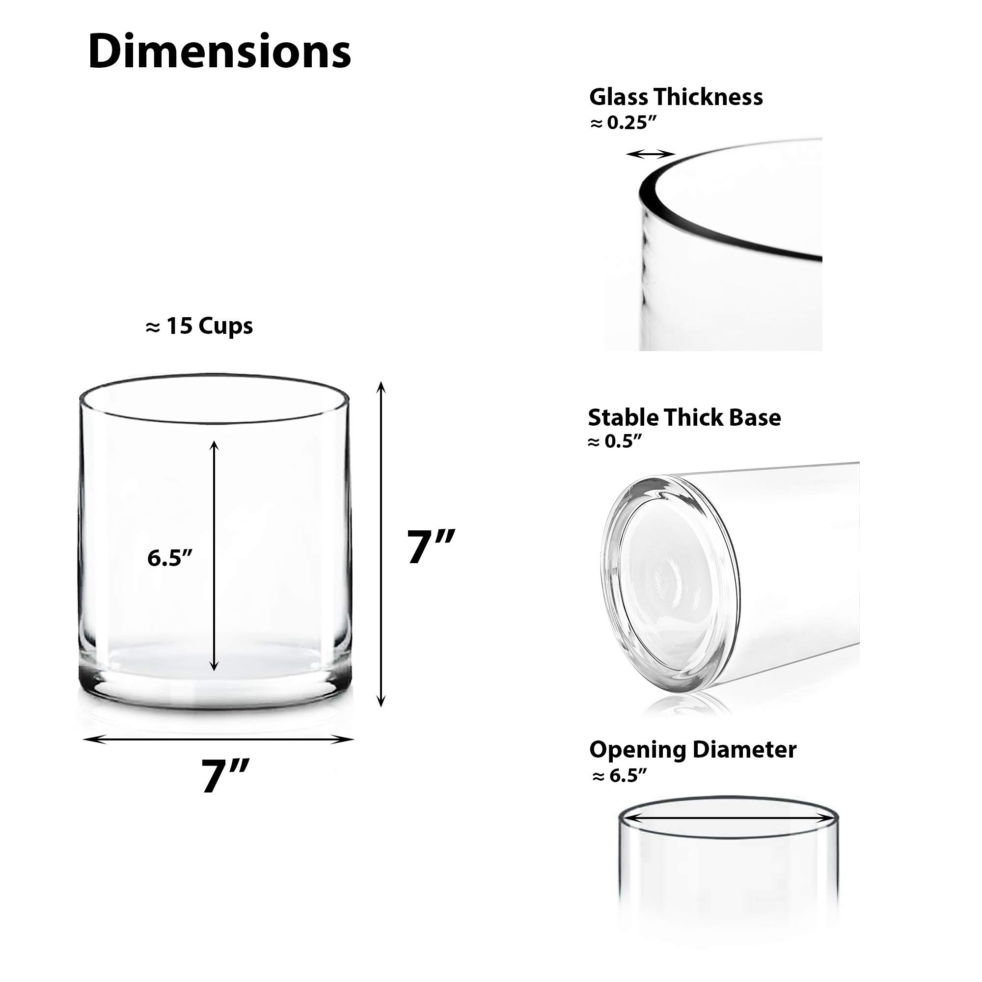 Buy CYS Excel Glass Cylinder Flower Vase (H7" D7") Multiple Size