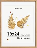 Vista 453 de Fun Memories Portarretratos de metal de 16 x 20 pulgadas con paspartú de 11 x 14 pulgadas, acabado de aluminio cepillado, parte delantera de vidrio