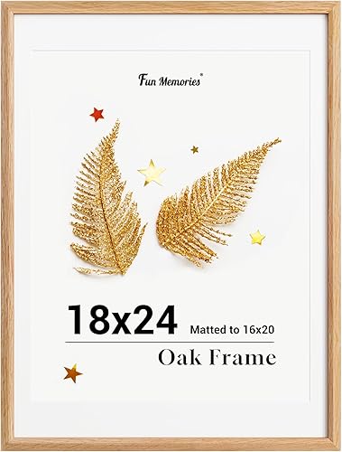 Miniatura 453 de Fun Memories Portarretratos de metal de 16 x 20 pulgadas con paspartú de 11 x 14 pulgadas, acabado de aluminio cepillado, parte delantera de vidrio