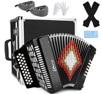 Tascani タスカーニ　アコーディオン 青 TASCANNI タスカーニ アコーディオン 超美品！ - メルカリ