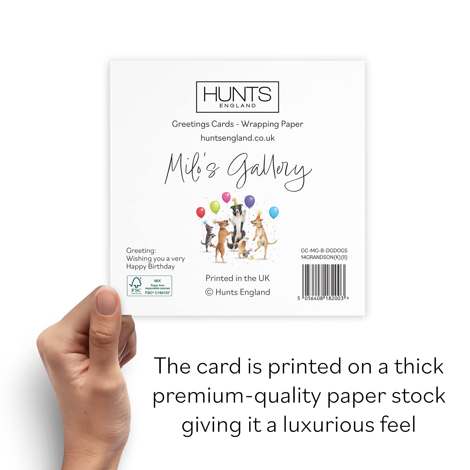 Hunts England - 14th Grandson Birthday Card - Dancing Dogs - Fantastic Grandson - Age 14 - Funny Boy's 14th Birthday Card - Milo's Gallery - Age Fourteen — view 3