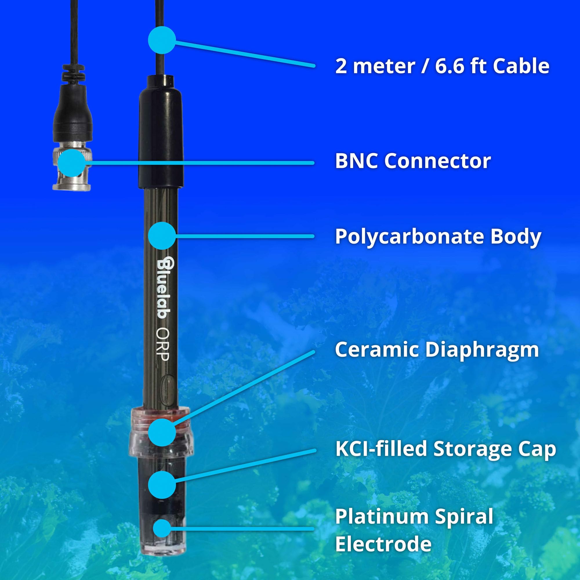 Bluelab Sonda ORP - Sonda de platino resistente con diafragma cerámico y cable de 2 m para monitorear desinfectantes que contienen cloro