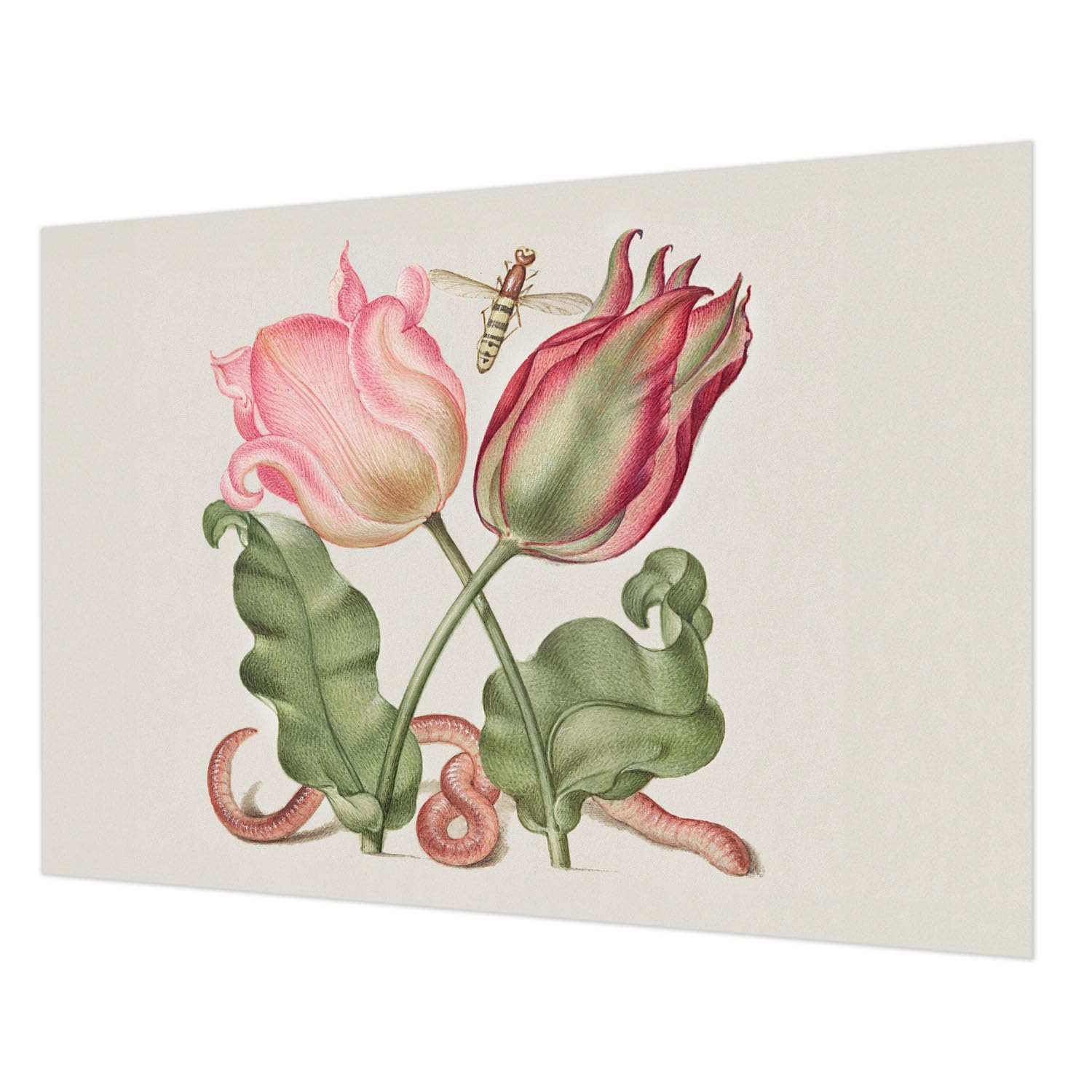 Papier peint intissé tulipes 208x146 cm pour décoration de salon