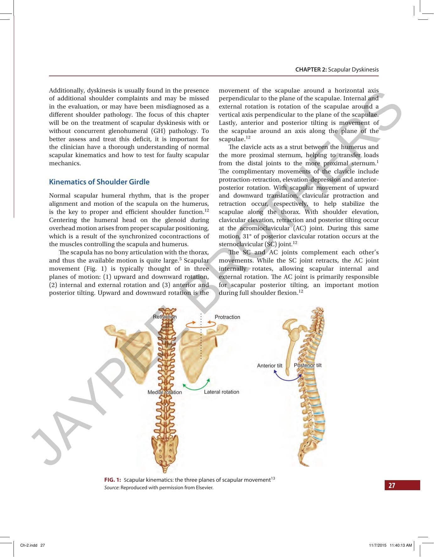 Physical Therapy: Treatment of Common Orthopedic Conditions
