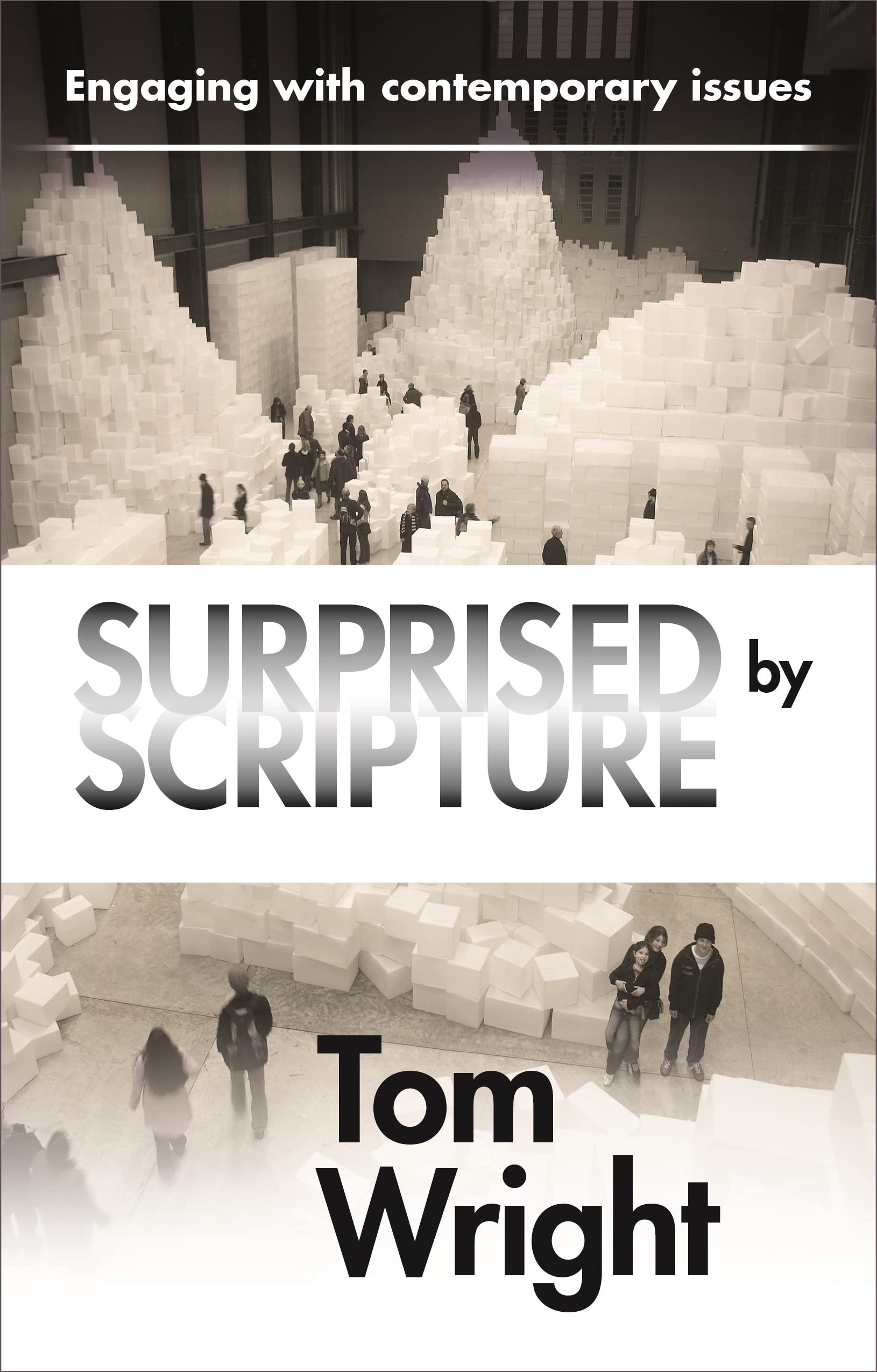 Surprised by Scripture : Engaging With Contemporary Issues