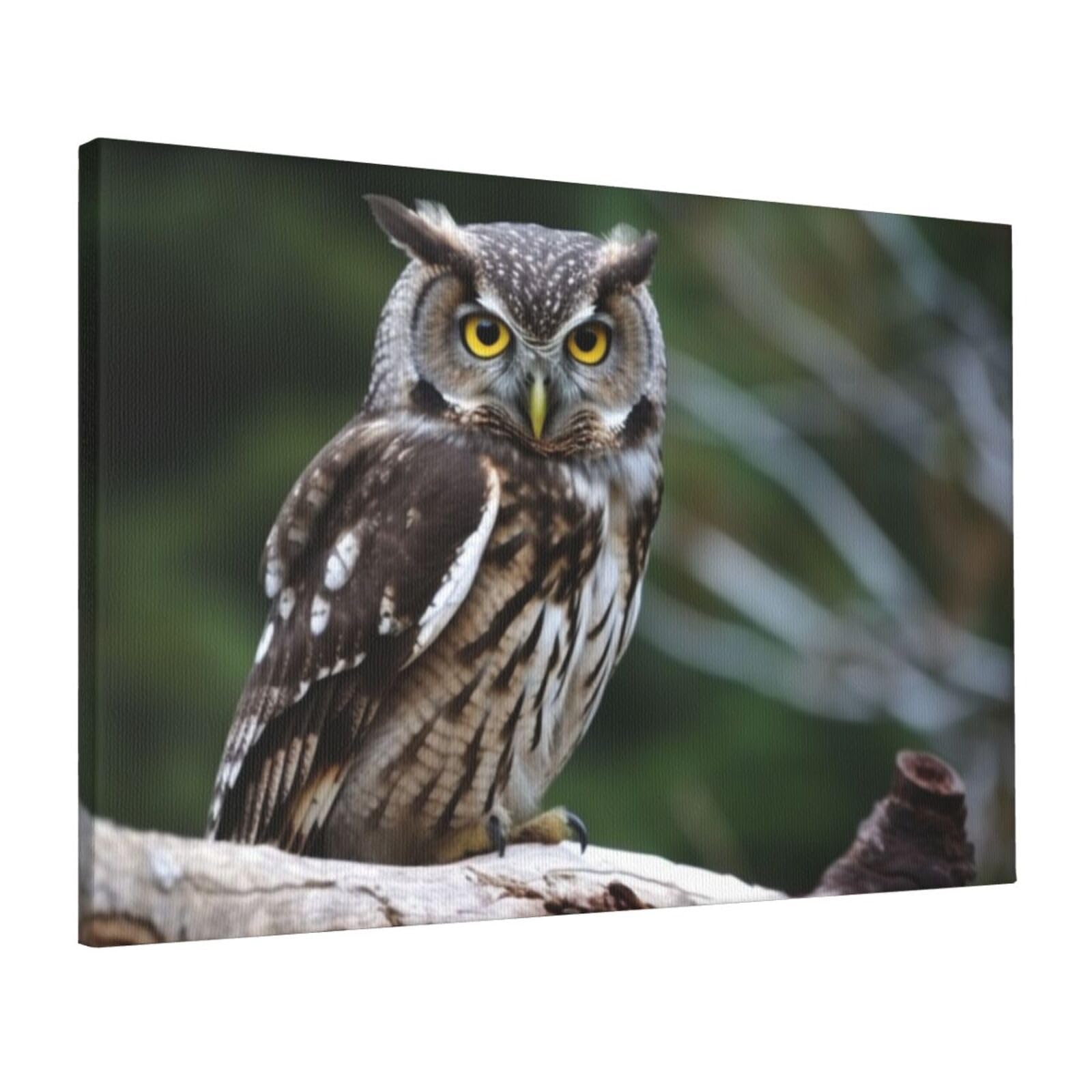 FodPand Canvas Wall Art for Living Room Wall Decor 16"x24" Modern Artwork Painting Pictures Hanging Canvas Prints Wild Owl Birds Aesthetic Wall Art for Bedroom Bathroom Office Wallart Decor