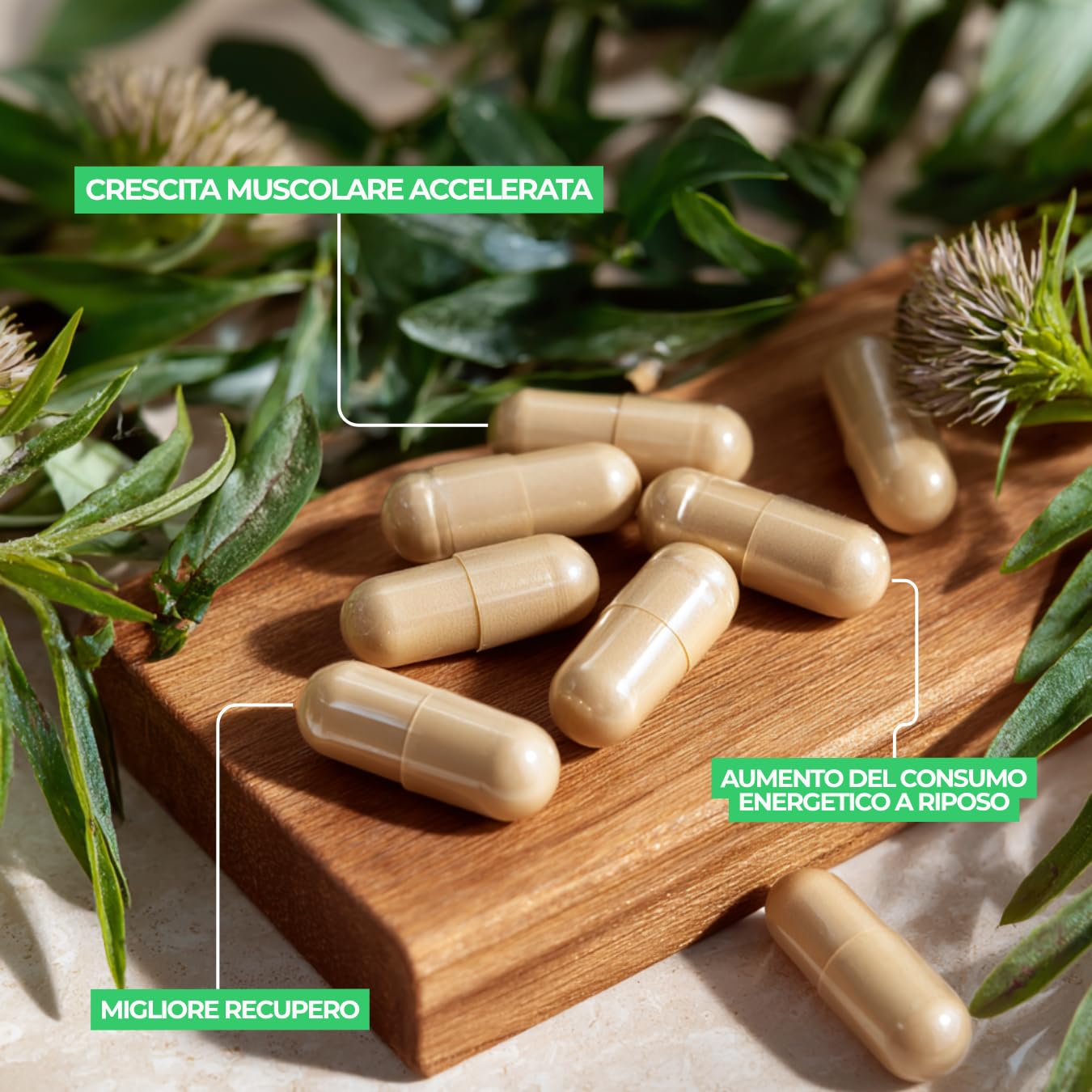 Complesso Bloccante della Miostatina – Massa Muscolare, Forza e Performance – Integratore Naturale – Prodotto in Francia