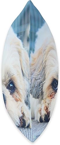 Miniatura 2 de Shih-Tzu - Almohada decorativa para mujer, diseño de cachorros de Shih tzu