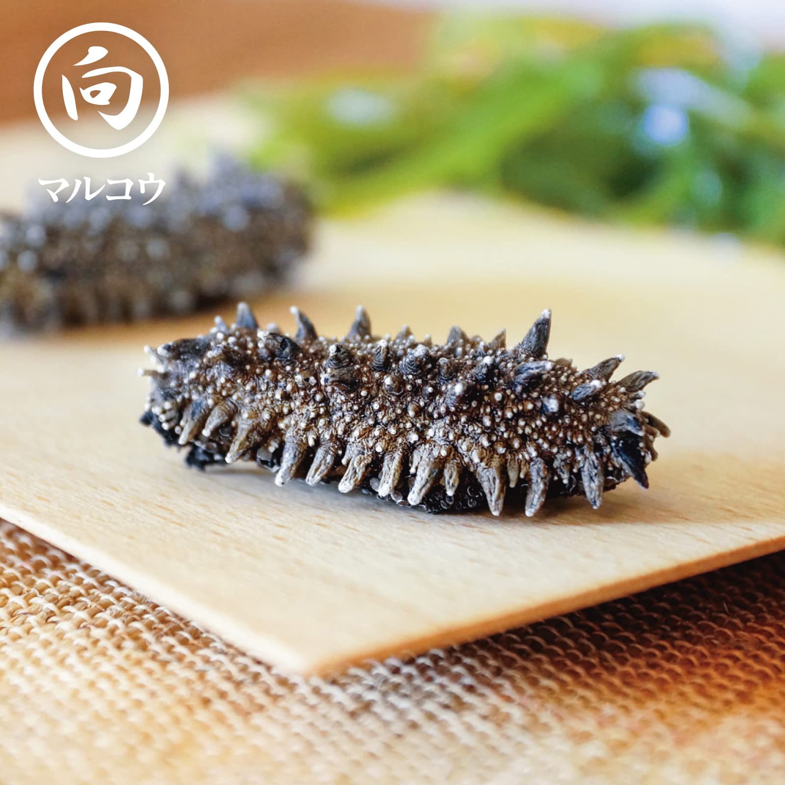北海道ナマコ海参 100g 7個LサイズA等級