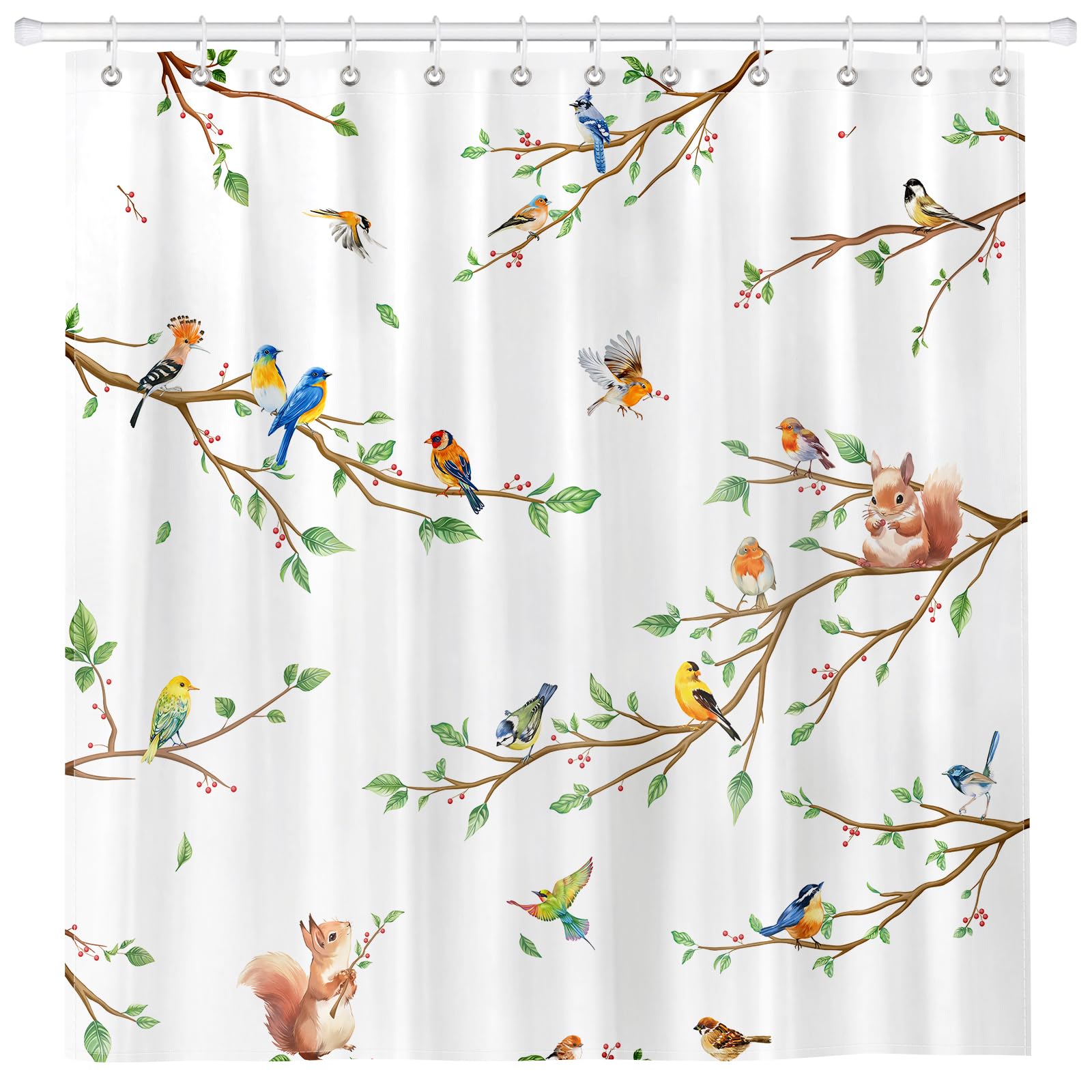 Arquiel Duschvorhang Vogel Zweig Waschbar 182X182 cm Polyester Badezimmervorhang Dekor Eichhörnchen für Bad Dusche Badezimmer Mit 12 Ösen und Ringen