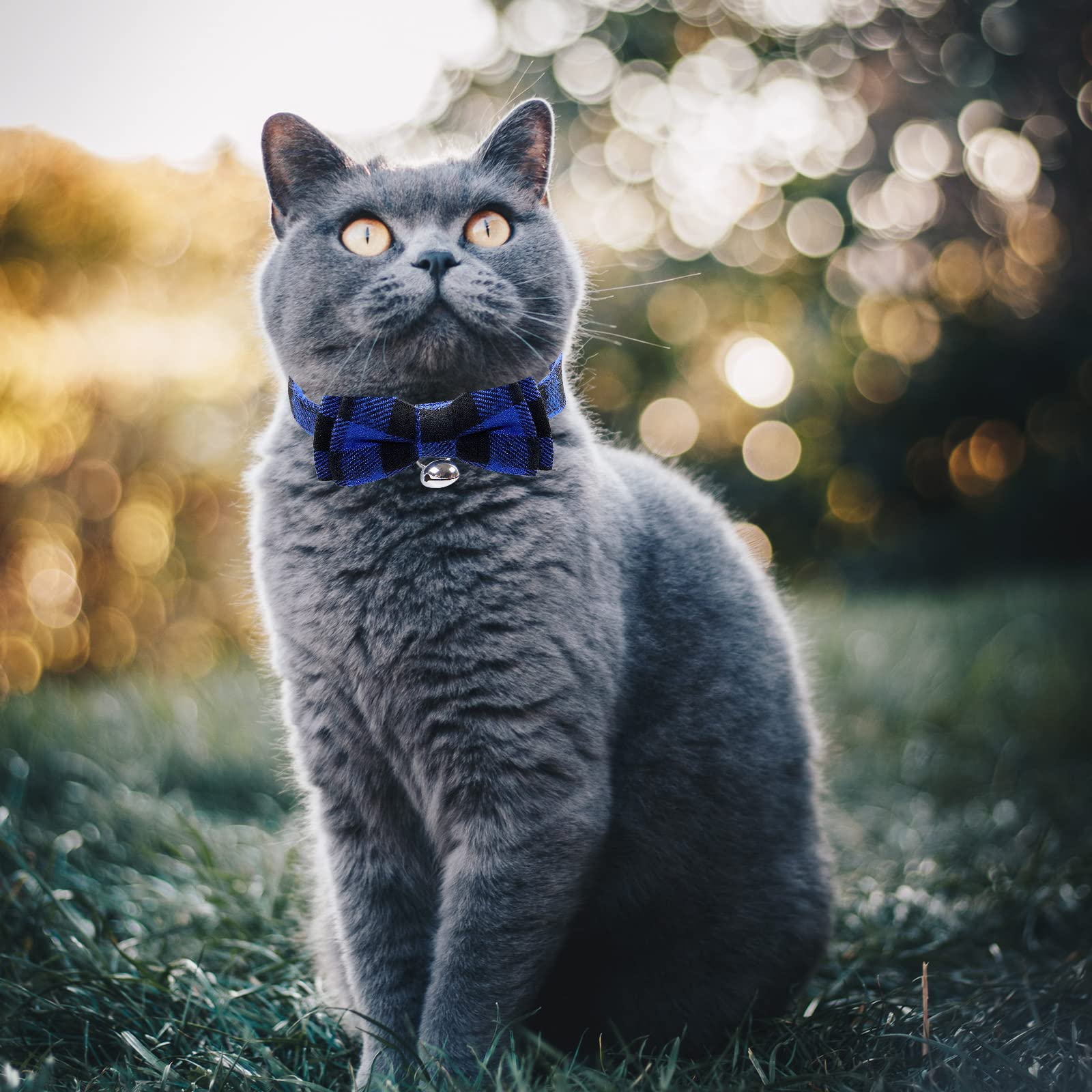 Blaues kariertes Katzenhalsband, Schnellverschluss, Kätzchen-Halsband, Fliege, Sicherheits-Halsband, mit Glöckchen, weiches Schottenkaro-Halsband, verstellbar, für Kätzchen, Welpen, kleine Haustiere