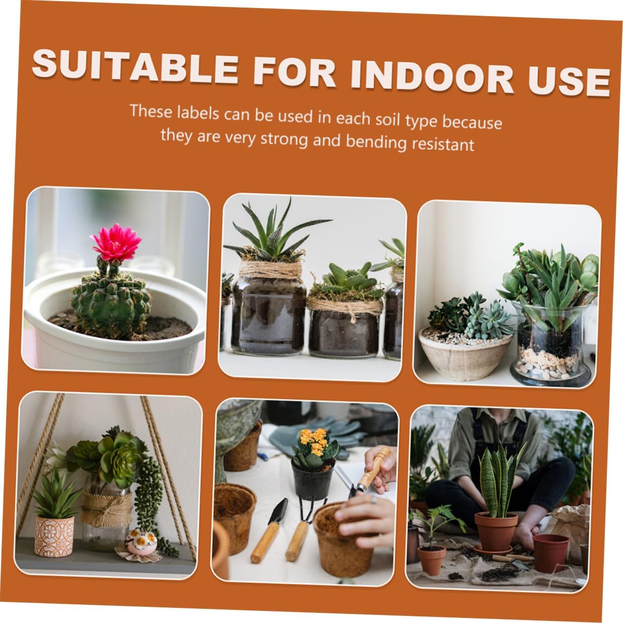 VILLCASE 600pcs Waterproof Plastic Plant Labels Multi-Color Small Garden Plant Markers Herb Flower Succulent Labeling Outdoor and Indoor Gardening