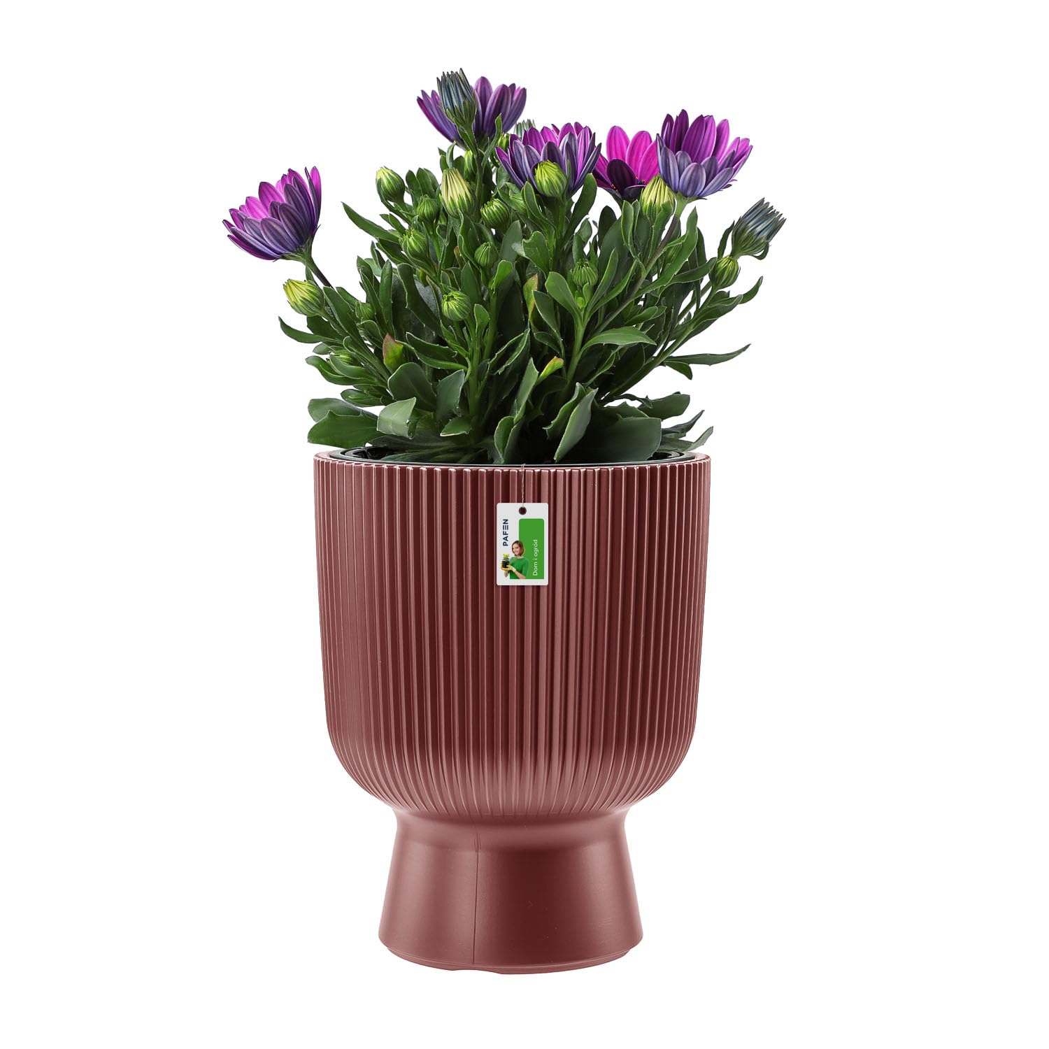 Prosper Plast DRL400PW-S449 38.5 x 15.5 x 14.2 cm Ratolla PW Flowerpot
