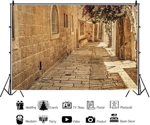 Miniatura 10 de CSFOTO Telón de fondo de piedra vieja de Jerusalén de 10 x 7 pies, fondo de piedra vieja de Jerusalén, fondo de sol para fotografía, telón de fondo