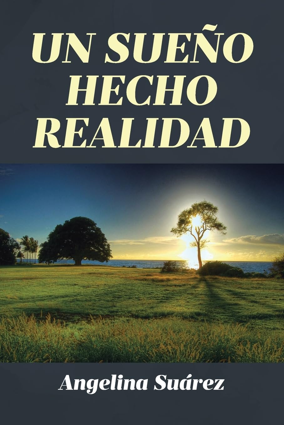 Un Sueño Hecho Realidad (Spanish Edition)