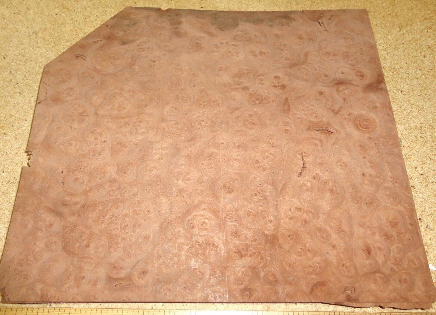 Carpathian Elm Burl Wood Veneer 9" x 10" raw no Backing 1/42" Thickness AAA