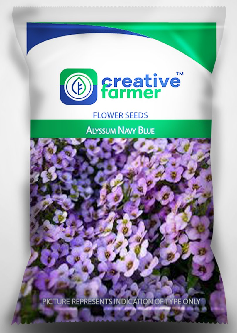 Creative Farmer Alyssum Navy Blue Seeds For Home Garden-50 Seeds (B01M0XSA6B) Amazon Price History, Amazon Price Tracker