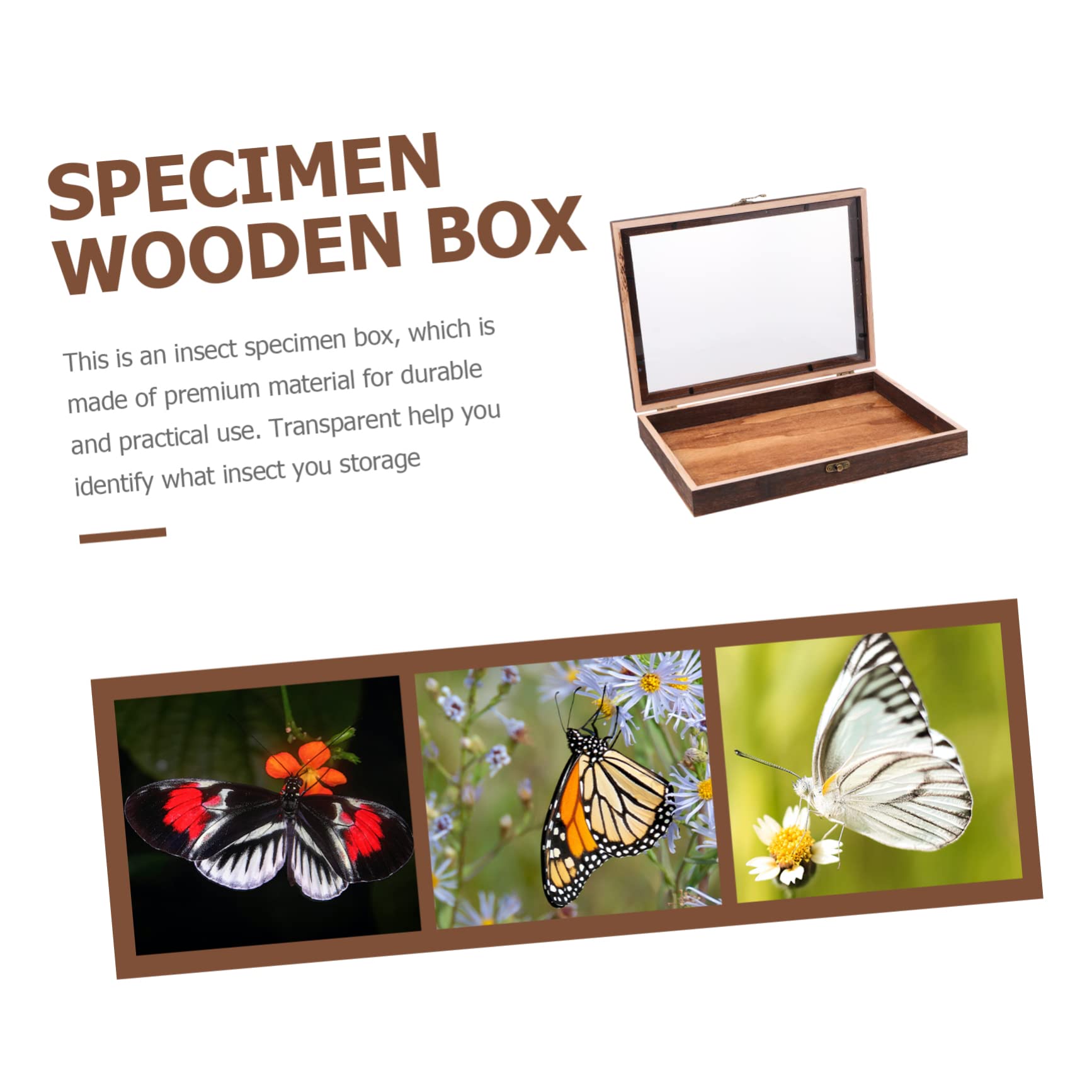 VALICLUD 1pc Box Specimen Display Box Boxes Decoration Storage Containers Small Display Cabinet Tabletop Display Case Specimen Drawer Insect Display Case Pin Display Case Wooden Coffee