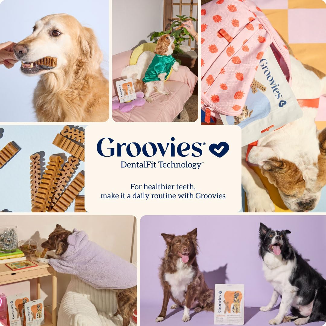 GROOVIES Juguetes masticables para personas mayores envueltos individualmente, tamaño grande (18 unidades)