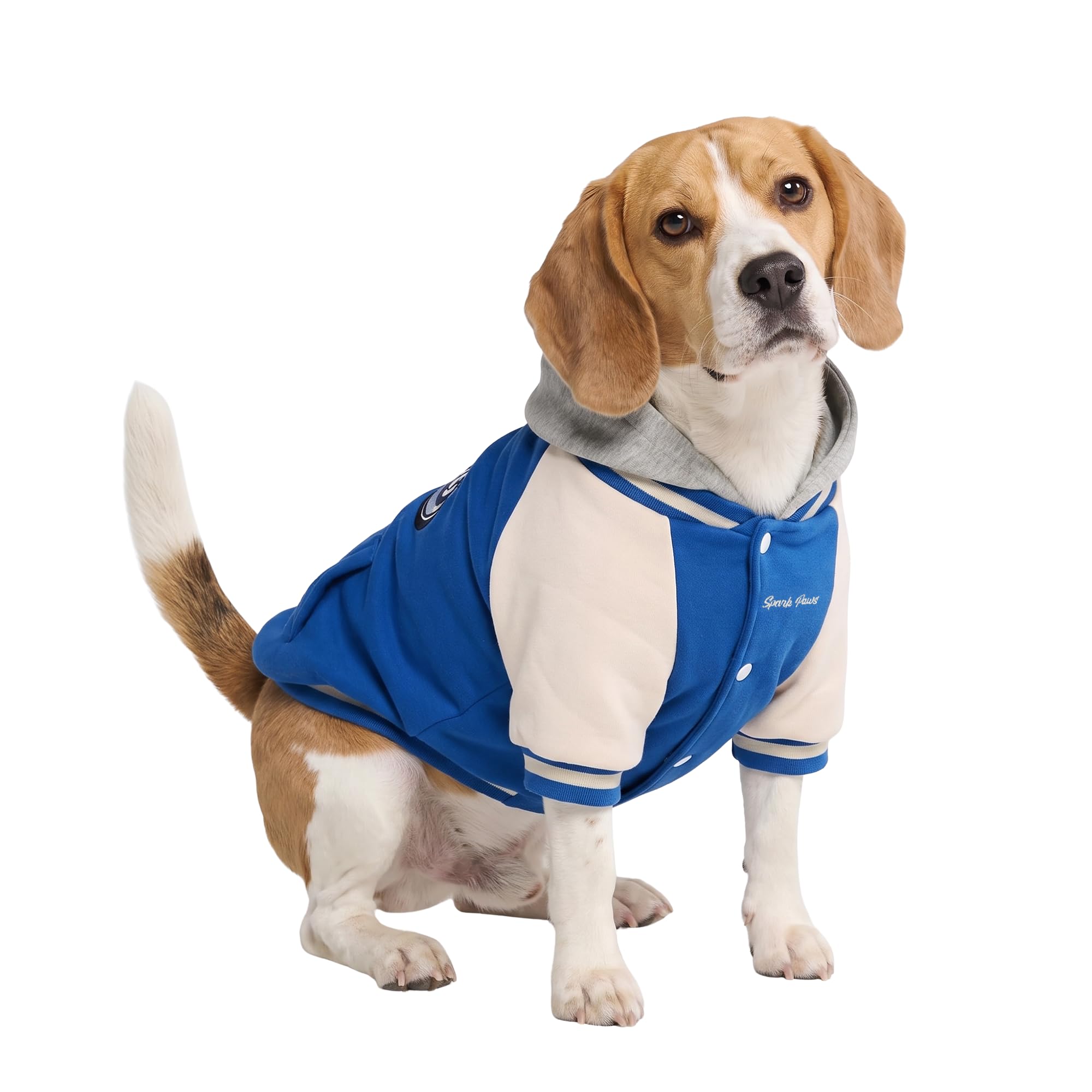 Spark Paws Varsity Dog Jacket - Dog Hoodie Winter Coat for Small Large Dogs