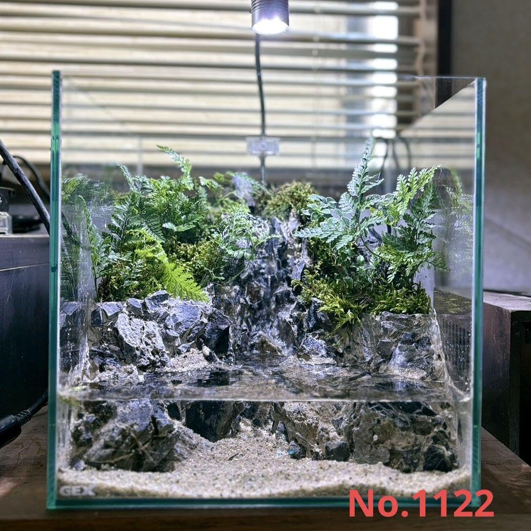 Amazon.co.jp: 滝の流れるアクアテラリウム No.1122 : ペット用品