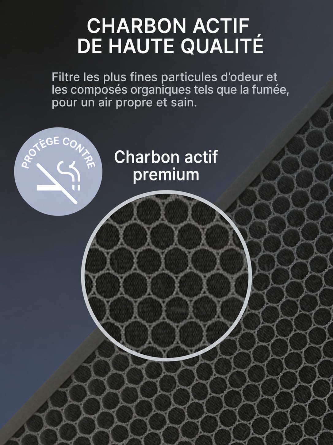 Comedes Filtre compatible avec le purificateur d'air Philips AC2889, AC2887, AC2882, AC3829 | Filtre HEPA et Filtre à charbon actif | utilisable pour remplacer Philips FY2422/30 et FY2420/30