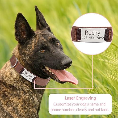 Vista 14 de Collar táctico personalizado para perro con etiqueta de nombre, collar de perro de nailon militar personalizado con mango de control, hebilla