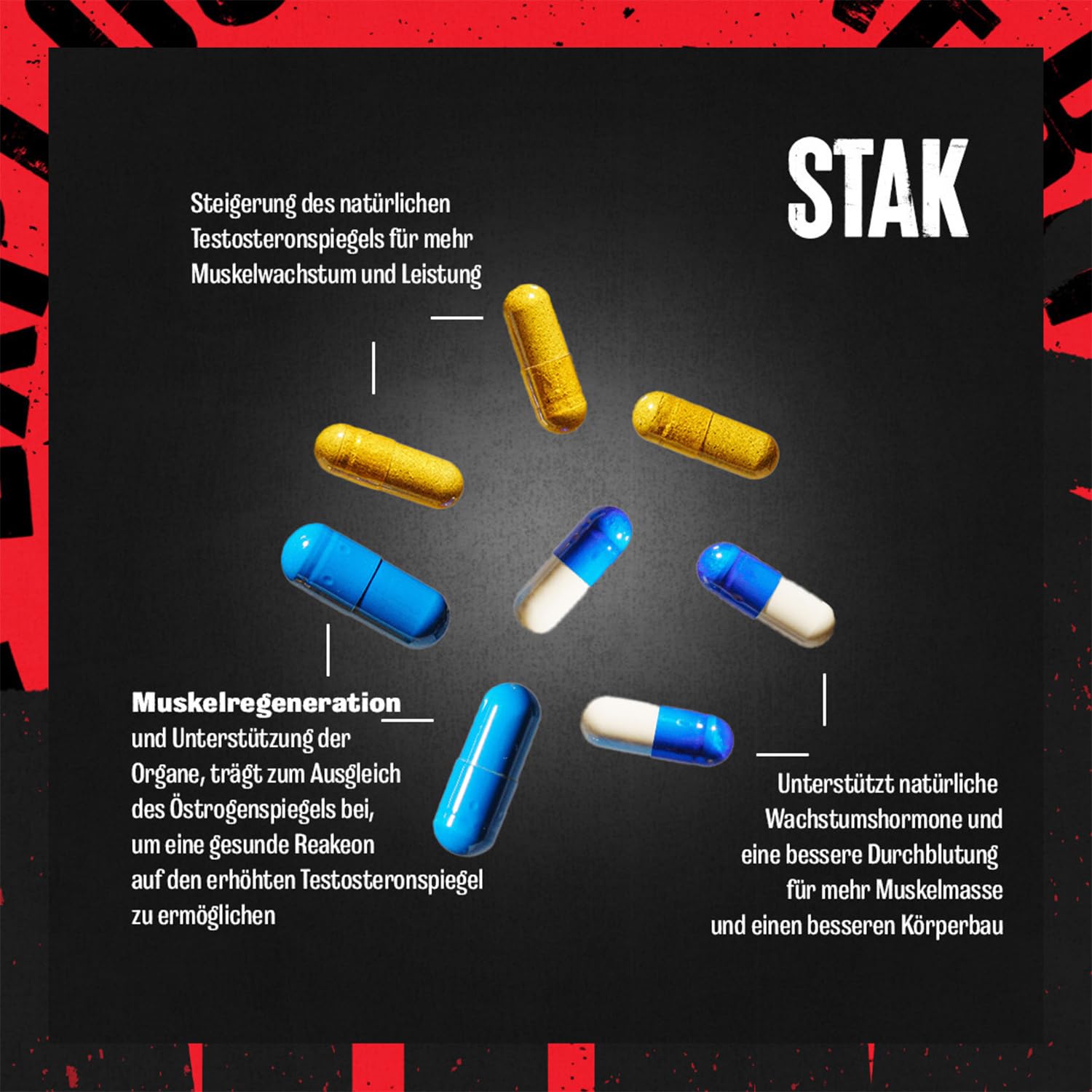 ANIMAL Stak – Supplement für Muskelaufbau, Kraft & Performance – Kapseln mit Aminosäuren, Vitaminen & Mineralstoffen – Sportnahrung für Fitness & Bodybuilding, 21 Packs