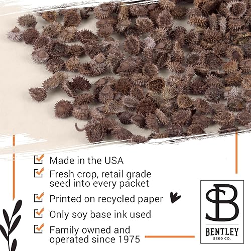 Miniatura 7 de Bentley Thank You Packet - Semillas de girasol - Paquete de 25 - Regalo perfecto de agradecimiento ecológico - Sin OMG