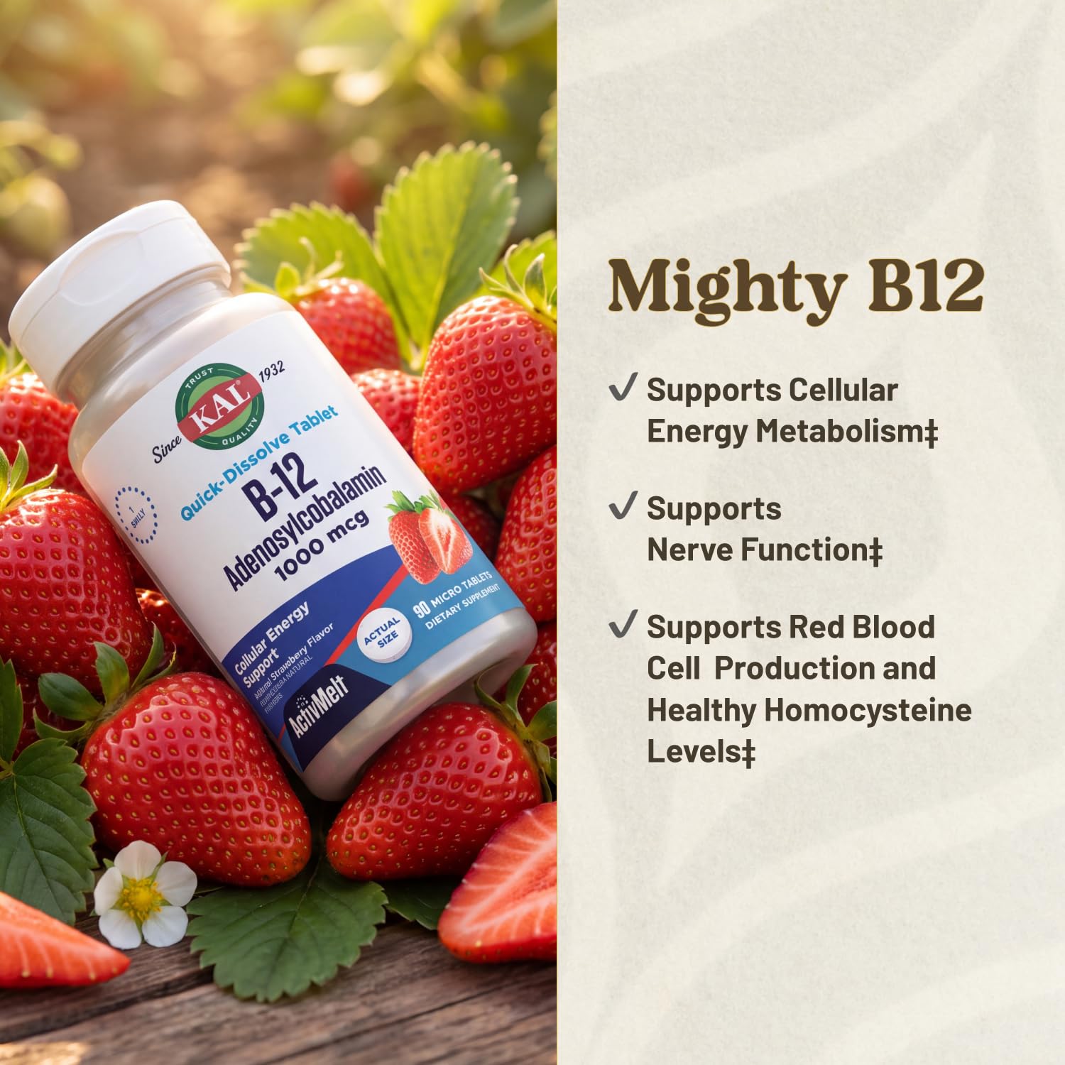 KAL Vitamin B12 1000 mcg as Adenosylcobalamin - Active Form of B12 Vitamins - B 12 Supports Cellular Energy, Nerve Function, Red Blood Cell Production - Natural Strawberry Flavor - 90 ActivMelts — Amazon image 3