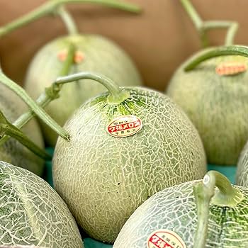 夕張メロン個選品　訳あり　4-6玉サイズ　約8キロ yubari8kg-y1.jpg