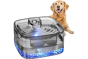 Circulating Water Bowl for Dogs: Quench Your Pup's Thirst