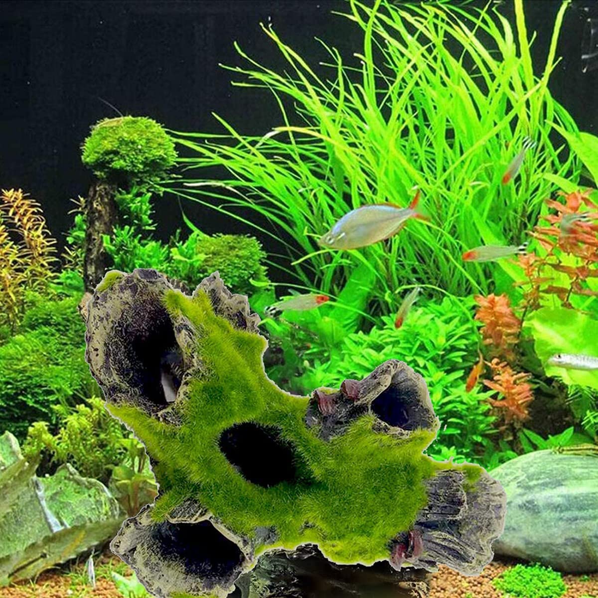 Aquarium Tunnel Höhle Mit Figuren - Garnelen Versteck Für Fische 13,5x13,5cm Schwarz