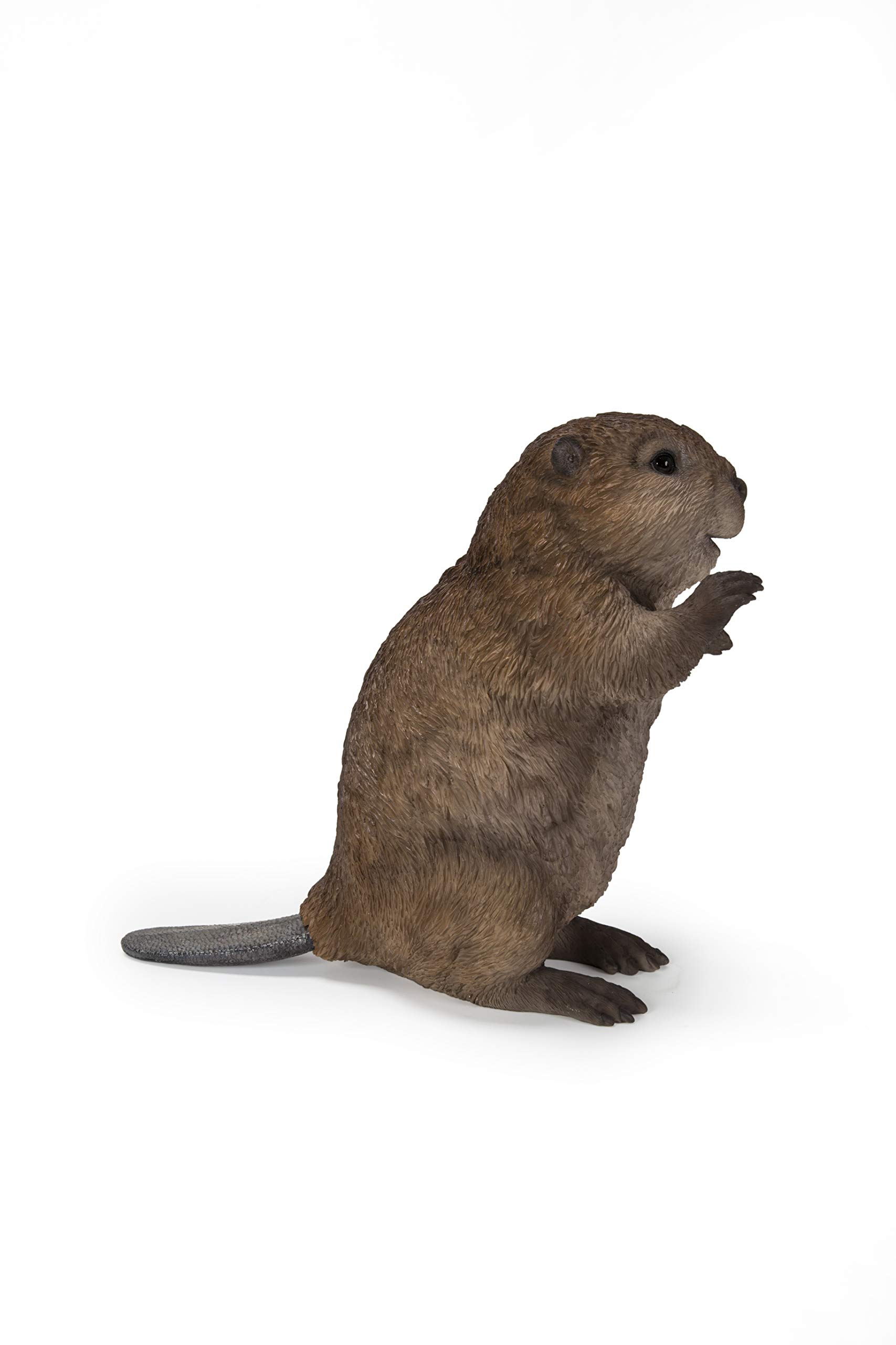 Hi-Line Gift Ltd. AMERICAN BEAVER CUB STANDING STATUE, Brown, 5.43 x 6.3 x 5.43 inches - Image 4