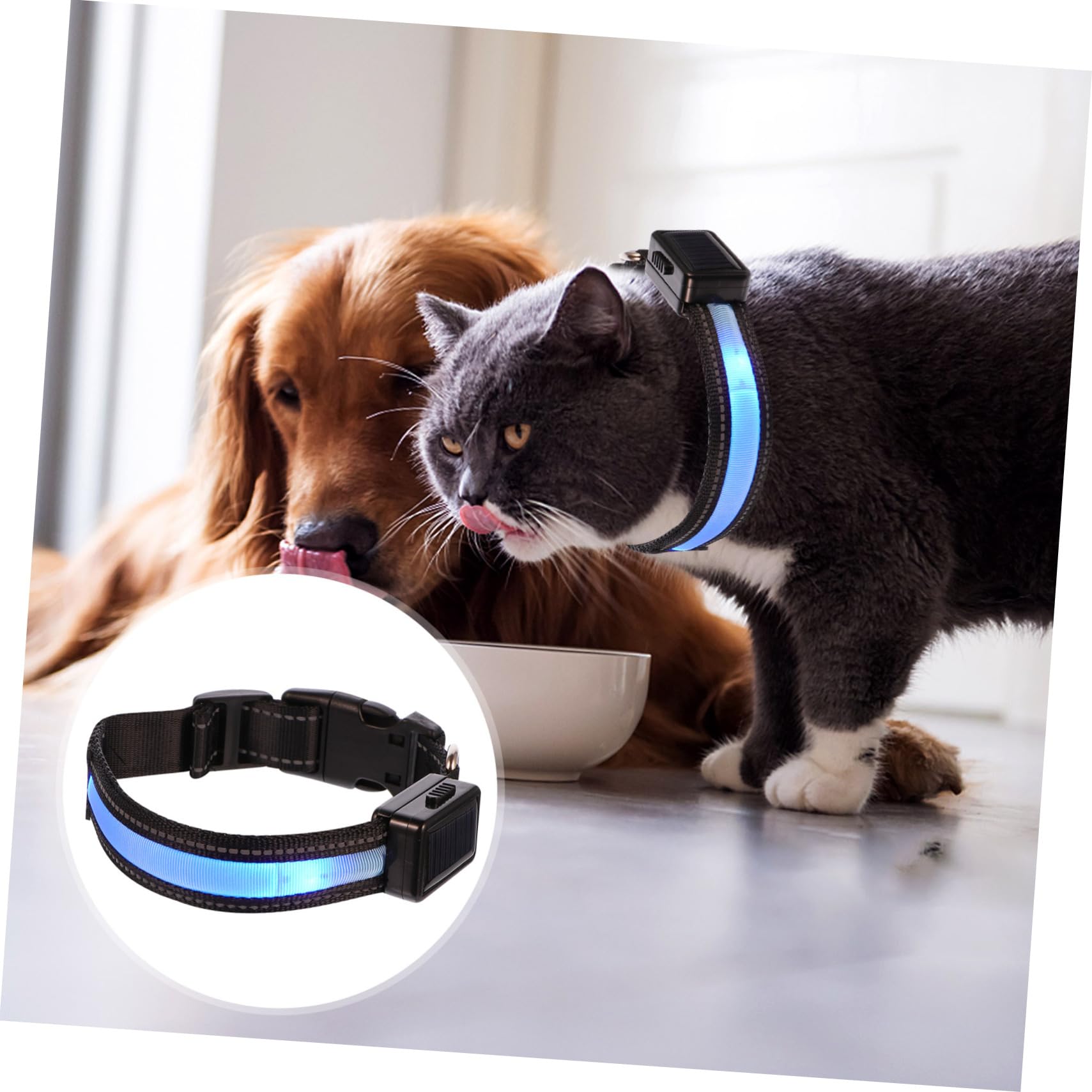 YARNOW 3 Ensembles De Colliers Lumineux pour Animaux De Compagnie Colliers pour Chiots Collier Lumineux Collier pour Chiot Collier pour Petit Collier De Sécurité pour