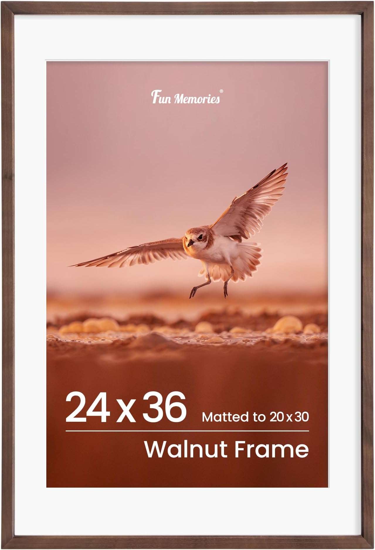 26x32 frame with mat Clearance