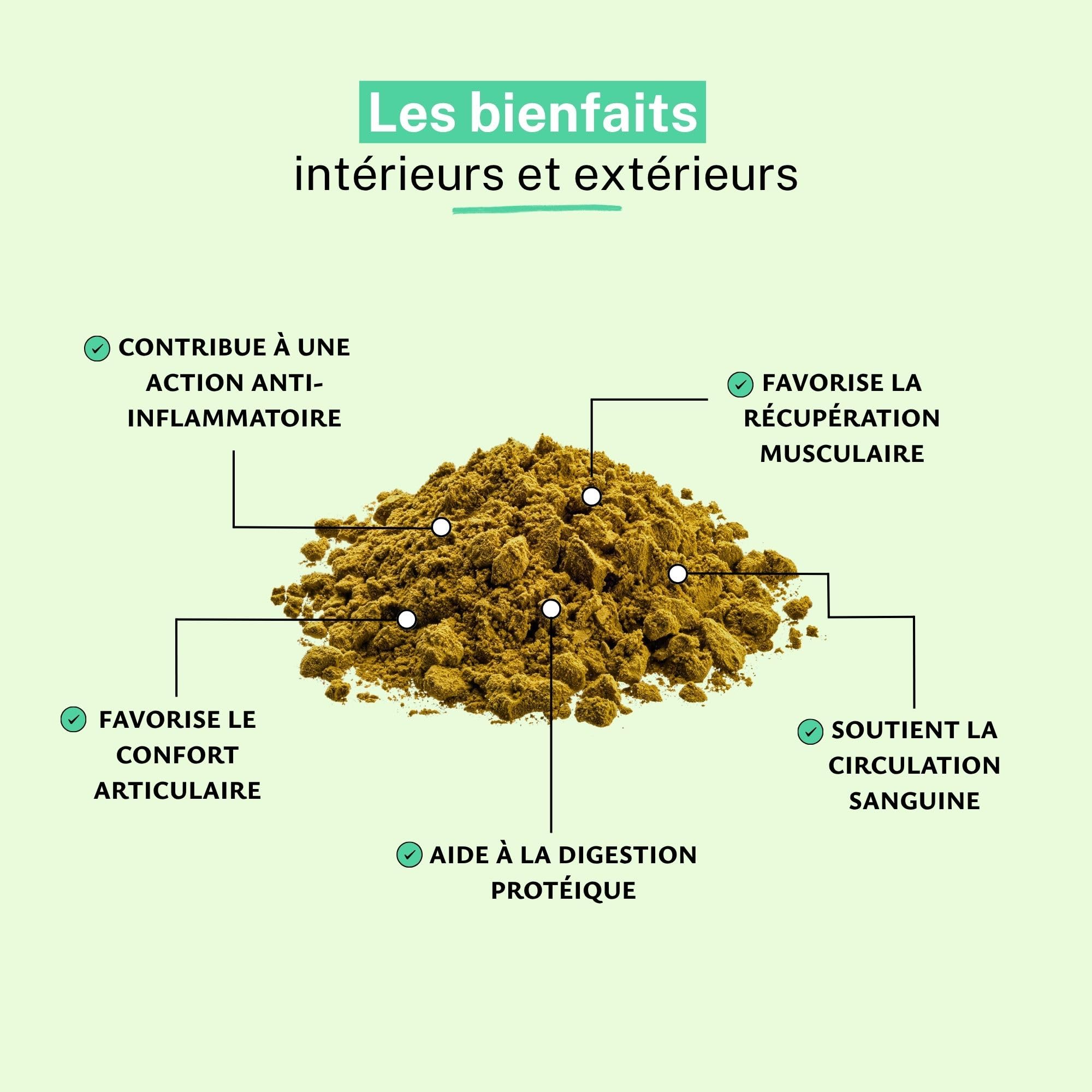 RUE DES PLANTES - Bromélaïne Poudre 100g | Enzyme Naturelle de Cœur d'Ananas | Digestion et Bien-être - Complément Alimentaire Vegan | Made in France