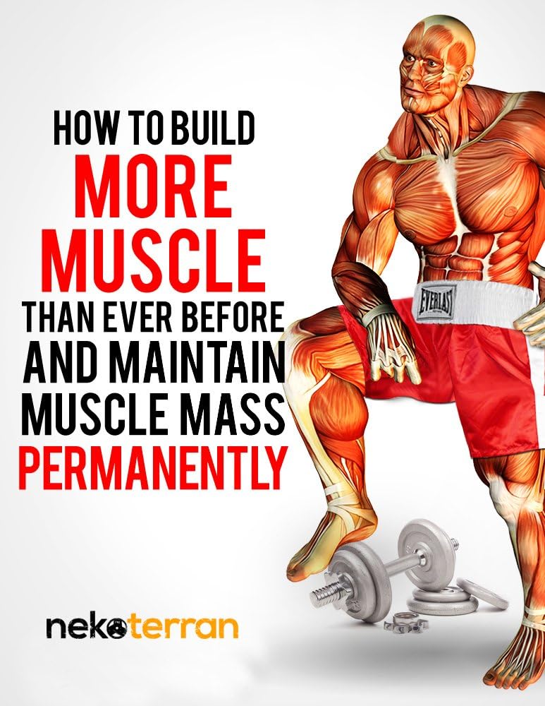 bodybuilding forum: How to Build More Muscle than Ever Before and Maintain Muscle Mass Permanently