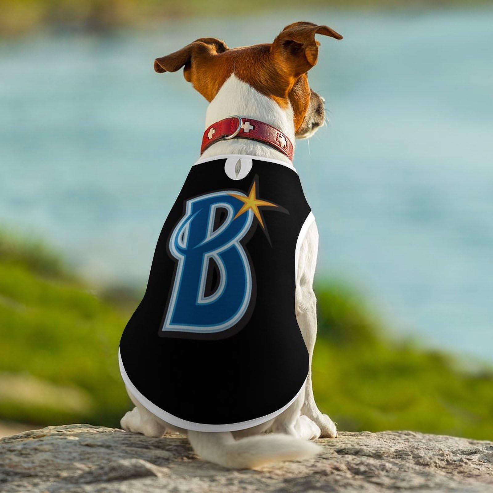 Amazon | ペット服 犬服 横浜DeNAベイスターズ タンクトップ Tシャツ