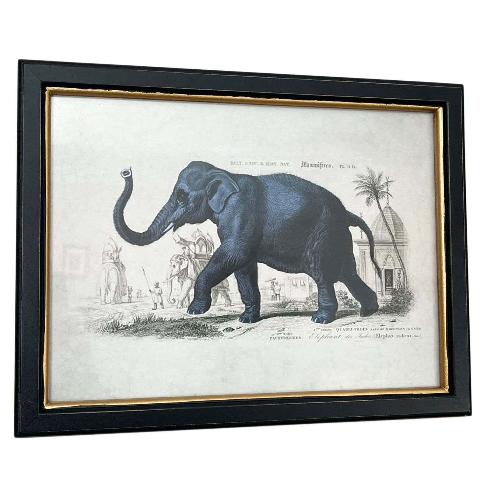 Darthome Elephant Zebra Giraffe Framed Wall Art Safari Animal Home Decorative Print Horizontal Artwork (Elephant)