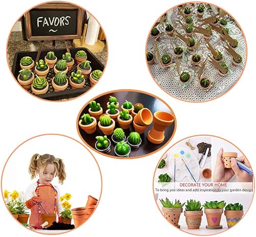 Miniatura 10 de Velas de té de cactus con soporte para macetas de terracota, suculentas decoraciones de recuerdos de baby shower, delicadas velas decorativas para