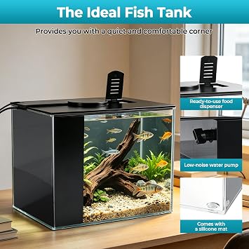 3.7L Betta Fish Tank, Small Plastic Aquarium with Cover and LED Light, Aquarium Starter Kit with Filter System, Mini desktop Fish Tank for Betta Shrimp